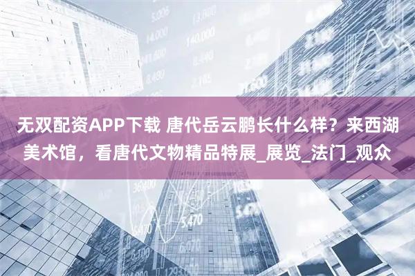 无双配资APP下载 唐代岳云鹏长什么样？来西湖美术馆，看唐代文物精品特展_展览_法门_观众