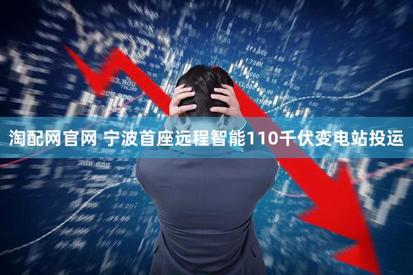 淘配网官网 宁波首座远程智能110千伏变电站投运