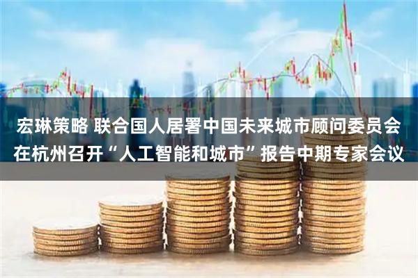 宏琳策略 联合国人居署中国未来城市顾问委员会在杭州召开“人工智能和城市”报告中期专家会议