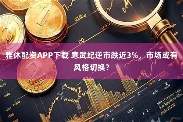 雅休配资APP下载 寒武纪逆市跌近3%，市场或有风格切换？
