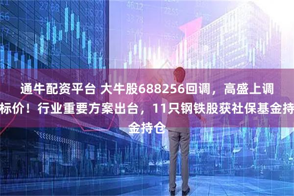 通牛配资平台 大牛股688256回调,高盛上调目标价!行业重要方案出台,11只钢铁股获社保基金持仓