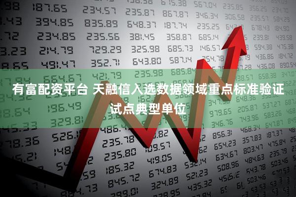 有富配资平台 天融信入选数据领域重点标准验证试点典型单位
