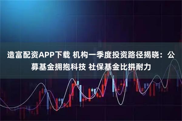造富配资APP下载 机构一季度投资路径揭晓:公募基金拥抱科技 社保基金比拼耐力